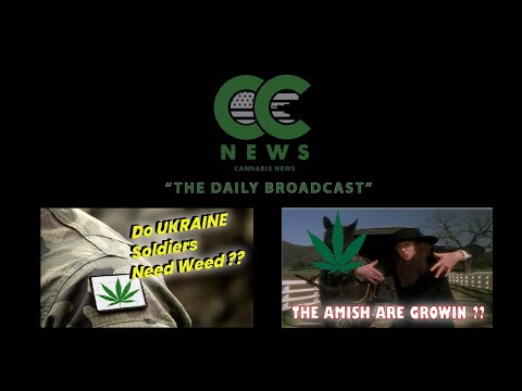 CANNABIS NEWS - Ukraine Needs Weed & The Amish are Growin #hempcbd #amish #420