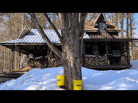 Maple Syrup Season At The Off Grid Cabin!