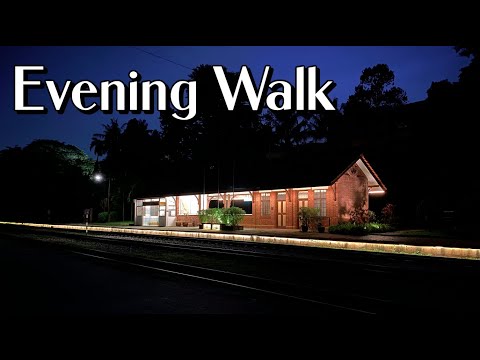 Evening Walk at Bukit Timah Station