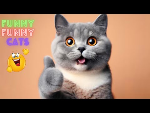 Funniest Cat Videos in The World😹Funny Cat Videos Compilation😺 Funny Cat Videos Try Not To Laugh #75