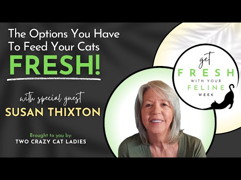 Options for Feeding Cats Fresh Food with Susan Thixton | Get Fresh With Your Feline