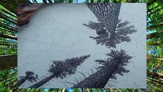 Part 2 - INK DRAWING A PINE FOREST IN PERSPECTIVE VIEW