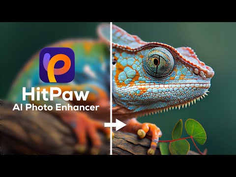 বেস্ট AI ফটো এডিটর | Enhance Low-Quality Photo to 4K with Free AI Photo Enhancer | HitPaw Photo AI