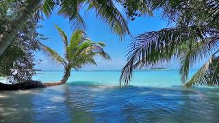 🌴 Ocean Ambience on a Tropical Island (Maldives) with Soothing Waves & Paradise View for Relaxation.