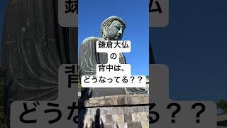 鎌倉大仏の背中はどうなってる？？ #鎌倉 #鎌倉観光 #鎌倉大仏