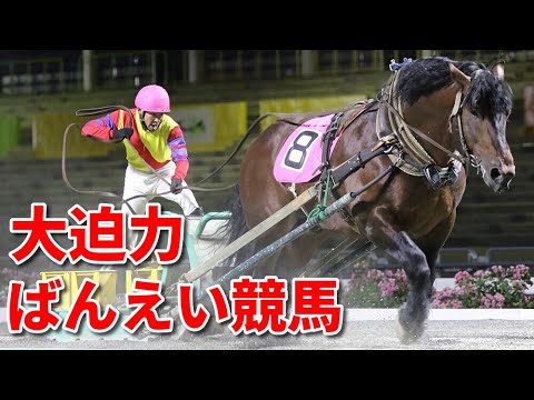 大迫力！ばんえい競馬【Banei Horse Racing・Hokkaido】