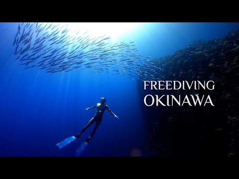 Freediving Adventure at Manza Horseshoe in Okinawa Island｜万座のホーシューでダイビング