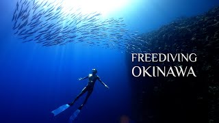 Freediving Adventure at Manza Horseshoe in Okinawa Island｜万座のホーシューでダイビング