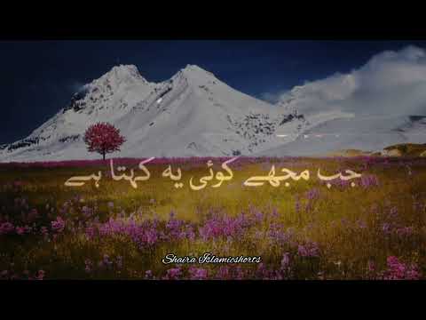 "Allah" Farmate Hai Ki 🥀 | Islamic WhatsApp Status |