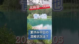 【青い池】2024年8月5日 夏休み平日13時の混雑状況