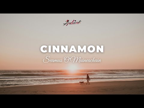 Seamus O'Muineachain - Cinnamon [ambient guitar piano]