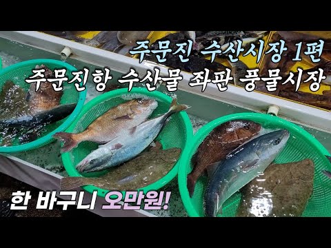 주문진 수산시장 1편(주문진항 수산물 좌판 풍물시장)