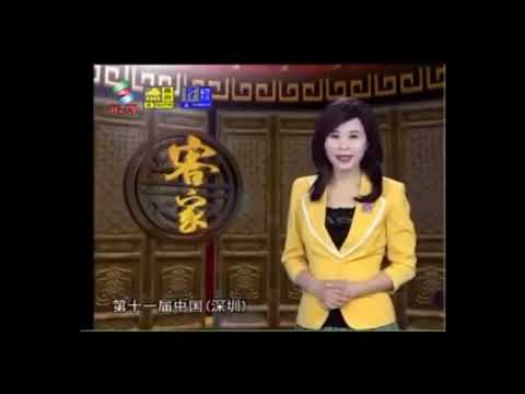 584 不同的客语/客家话口音 Different Hakka accents