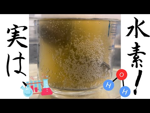 りんご搾汁残渣から水素を得る実験