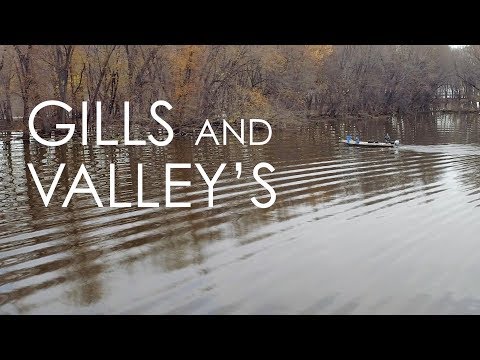 Gills and Valley's | Valley Fish and Cheese | Wisconsin Foodie