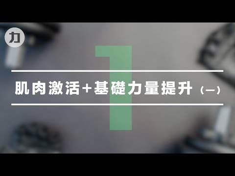 【Day1】肌肉激活+基礎力量提升（一）