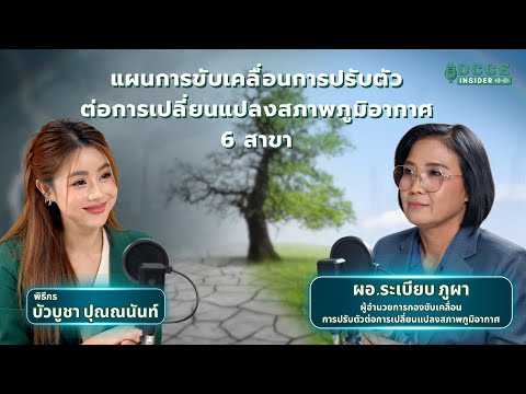 DCCE Insider ตอน 2 | แผนการขับเคลื่อนการปรับตัวต่อการเปลี่ยนแปลงสภาพภูมิอากาศ 6 สาขา