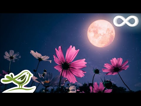 Midnight Calm: Deep Sleep Music with Black Screen | Fall Asleep with Ambient Music