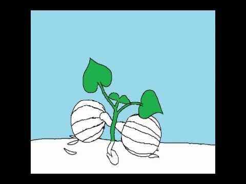 Pumpkin Growing MS Paint Animation