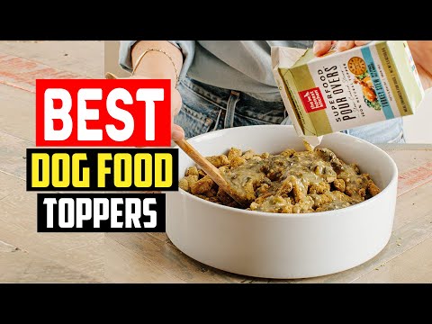 ✅ Best Dog Food Toppers in 2023