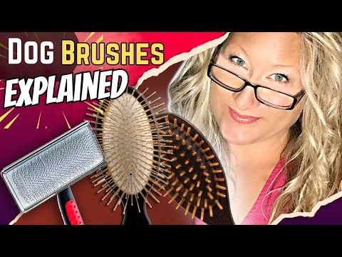 Dog Brush types explained