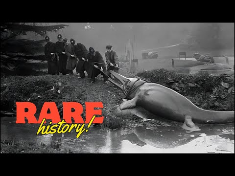 🟢 Top 70 Rare Historical Photos 1930s 1980s!