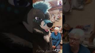 BEST Furry TikToks compilation 0687 #shorts #furrytiktok #furry  #funnyvideo  #youtube   #furries