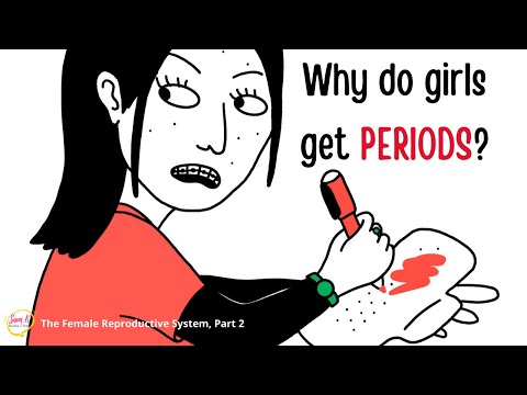 The Menstrual Cycle Explained Animation Video 🩸The Female Reproductive System, 2/3 | Puberty Stages