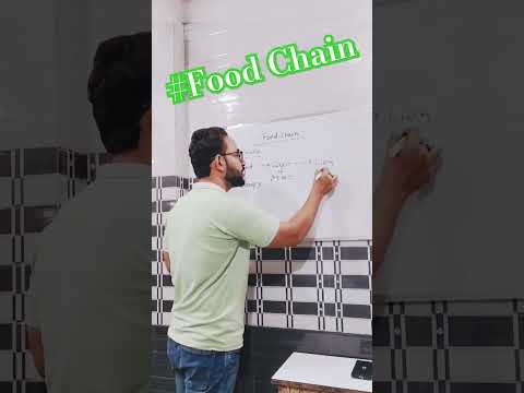 Food Chain || 10% Rule || Our Environment || CBSE Class 10 Science @KhanStudyPoint #shorts