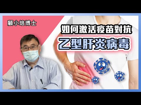 乙型肝炎病毒 | 顧小培博士講解如何激活疫苗對抗乙型肝炎病毒