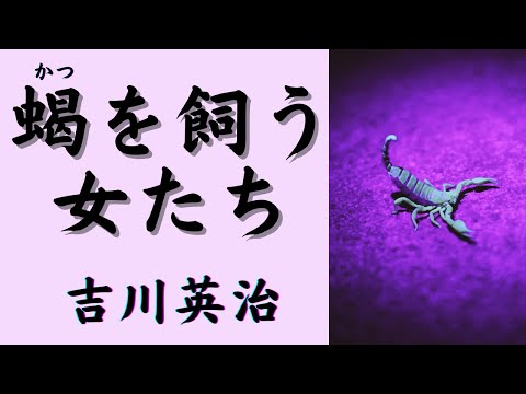 【聴く時代劇　朗読】110　吉川英治「蝎を飼う女たち」〜大名の側室たち