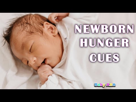 NEWBORN HUNGER CUES: A Guide for Parents || Baby Behavior || What is Your Baby Trying to Tell You?