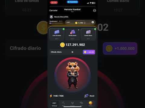 💥HAMSTER KOMBAT CIFRADO DIÁRIO🚨#hamsterkombat #telegram #airdrop #shorts