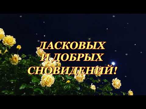 Спокойной ночи! Ласковых и добрых сновидений!