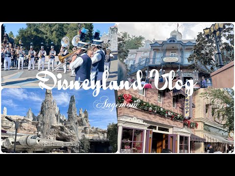 【安家之旅】Los Angeles Disneyland Park Vlog | 加州洛杉矶迪士尼乐园｜｜星际大战