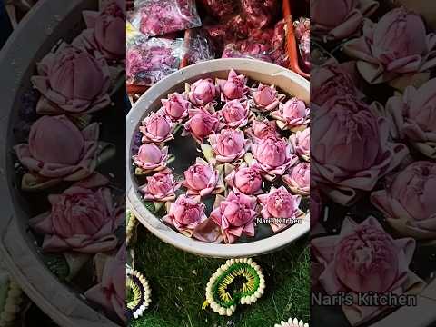 wow.😲 colourful flowers #flowers #satisfying #love #beautiful #trending #viral #shorts #short #yt