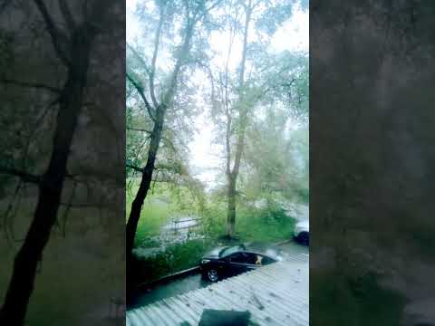 #rain #heavyrain #summerrain #rain #town #youtube #youtubeshorts #youtubesubscribe