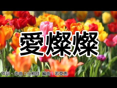 【カラオケ】愛燦燦／美空ひばり【オフボーカル メロディ有り karaoke】