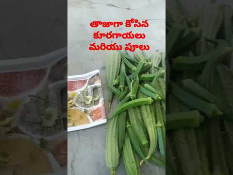 freshly harvested vegetables and flowers