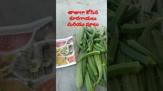 freshly harvested vegetables and flowers