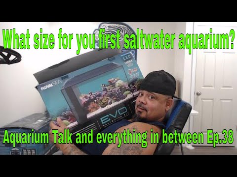 What size for you first saltwater aquarium