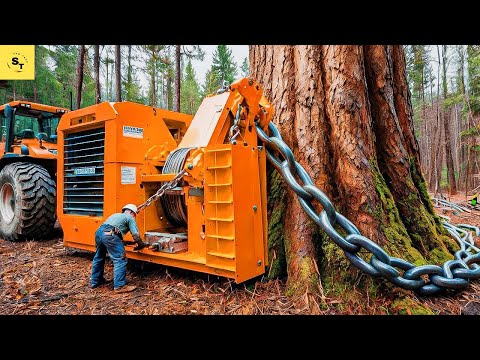 Extreme Dangerous Fastest Big Chainsaw Cutting Tree Machines | Monster Stump Removal Excavator #234