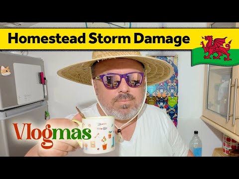 175. Homestead Storm Damage 🎄 Vlogmas - Living Alone in Wales (December 2024)