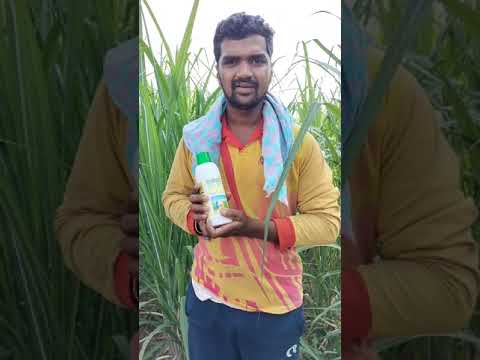 101 Kadappa from Belgaum District | Karnataka | Nano Urea Testimonial