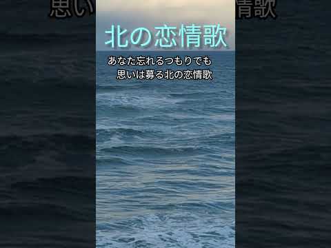 「北の恋情歌」#川野夏美新曲#たきのえいじ#弦哲也#新曲演歌#小西みどり