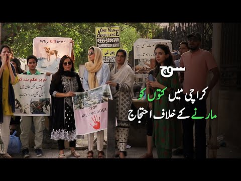 Karachi Residents Demand Action on Unchecked Dog Culling