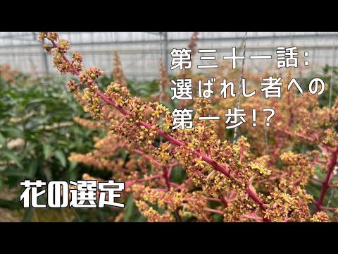 【第三十一話】本当にそれは必要な花！？ 〜 花の選定 〜