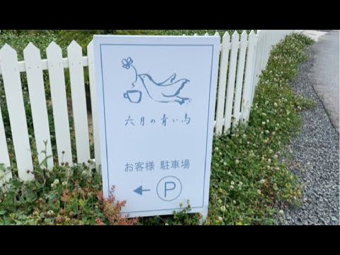 Hidden Japan  94   　カフェ "六月の青い鳥"　　 June Bluebird