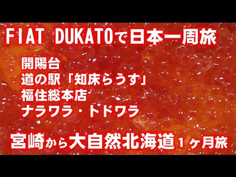 道東の旅も佳境に入りました。野付半島のトドワラや知床半島の羅臼など北海道らしい場所をゆっくりと巡ることが出来ました。