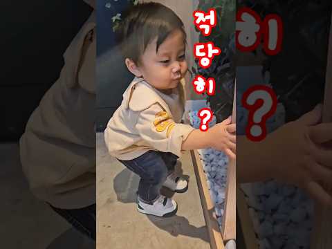 이 사람들이 똑바로 했나 !? #아기 일상 #아기 #shorts #조경공사 #적당히 #점검중 #baby #14개월아기